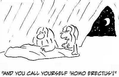 homoerect.jpg