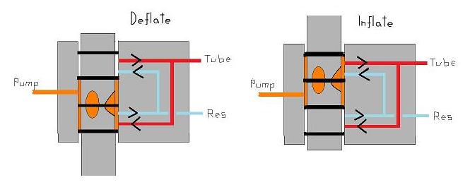 Left-Right Valve.jpg