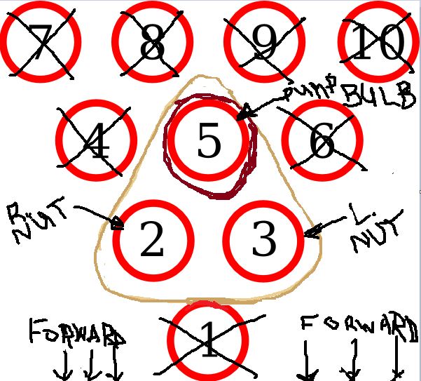 Pump Diagram among Nuts.JPG