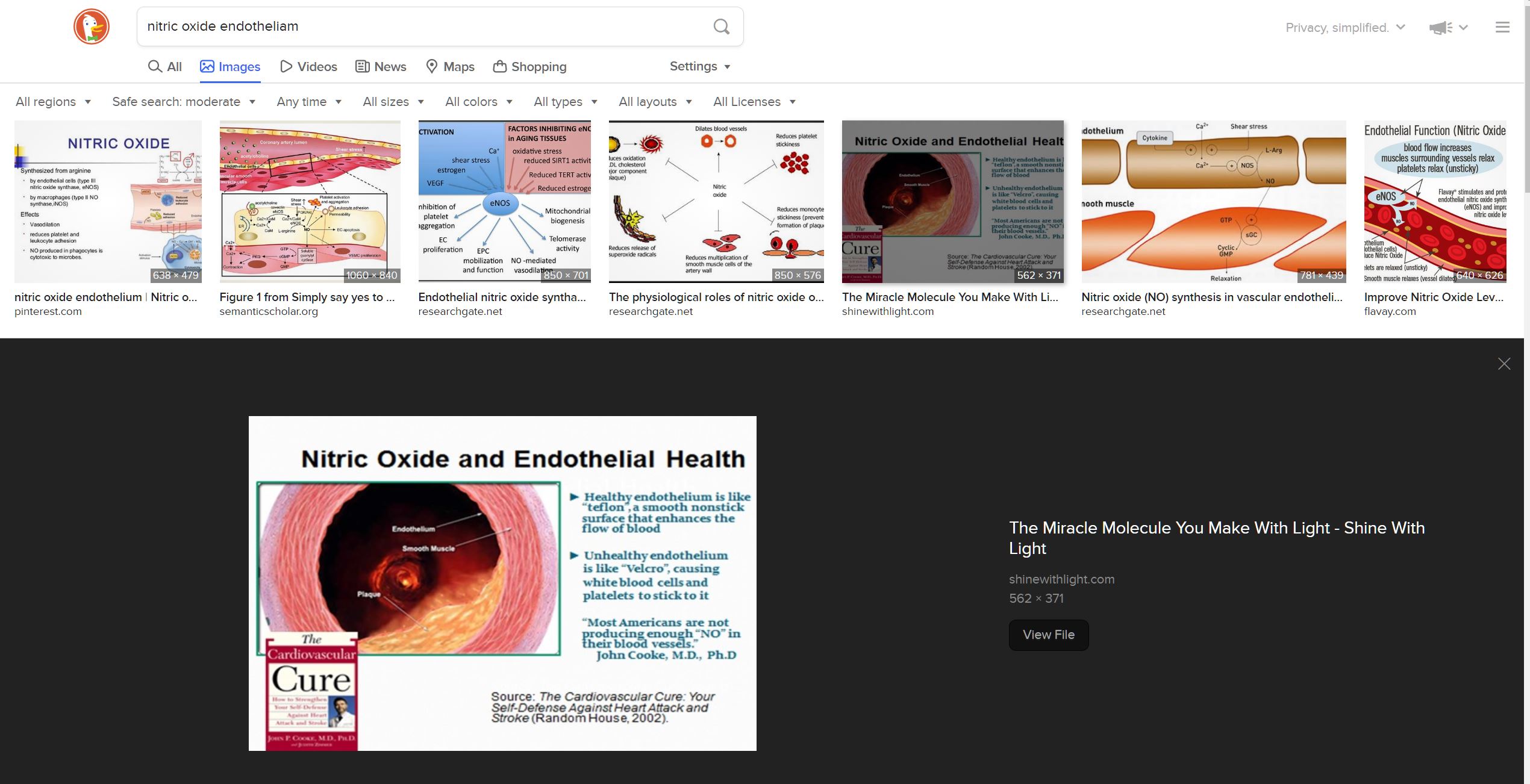 nitric oxide 2.JPG